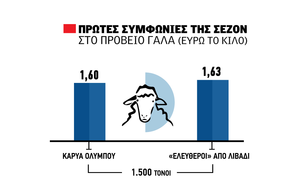 ∆ιπλή συµφωνία στο πρόβειο µε 1,60 και 1,63 ευρώ το κιλό, ακούγεται 1,65 από Ελασσόνα - Τυροκόμος