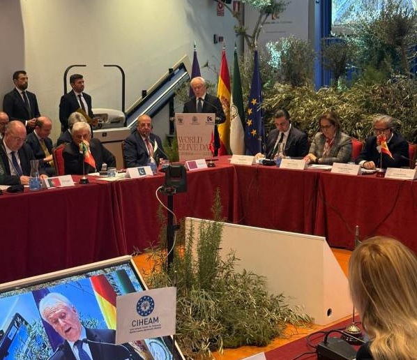 Ο Γ. Ανδριανός στις εργασίες του Διεθνούς Συμβουλίου Ελιάς στην Κόρδοβα