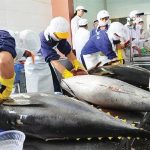 Η ισχυρή βιομηχανία τόνου της Ταϊλάνδης πιέζει για πρόσβαση χωρίς δασμούς στην ΕΕ εν μέσω εμπορικών συνομιλιών