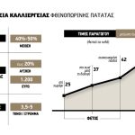 Μειώσεις μέχρι 50% στις πρώτες τιμές για πατάτα, πλεονασματική η παραγωγή