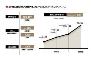 Μειώσεις μέχρι 50% στις πρώτες τιμές για πατάτα, πλεονασματική η παραγωγή