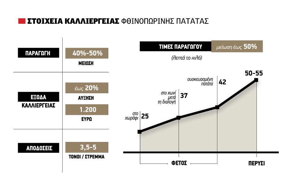 Μειώσεις μέχρι 50% στις πρώτες τιμές για πατάτα, πλεονασματική η παραγωγή