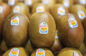 Η Zespri ανεβάζει τις προβλέψεις της για τη σεζόν 2025/26, αποδόσεις ρεκόρ σε όλες τις κατηγορίες - Fresher
