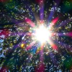 Καιρός: Ηλιοφάνεια στις περισσότερες περιοχές με λίγες νεφώσεις