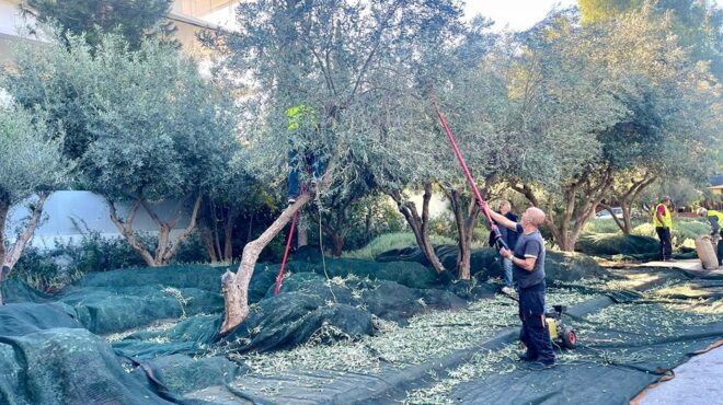 οι-άγνωστοι-πρωταθλητές-της-ελληνι-563321227