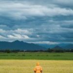 Κίνδυνος αναστολής πληρωμών: Ο Τσιάρας κατέθεσε στη Βουλή τις επιστολές της Κομισιόν για τις ελλείψεις του ΟΠΕΚΕΠΕ