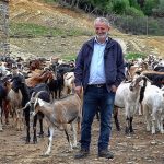 Στο ΦΕΚ το νέο πλαίσιο για την κατανομή βοσκοτόπων, όλες οι λεπτομέρειες