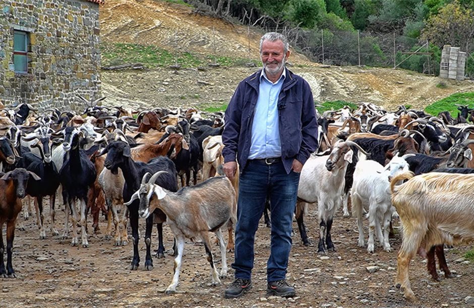 Στο ΦΕΚ το νέο πλαίσιο για την κατανομή βοσκοτόπων, όλες οι λεπτομέρειες