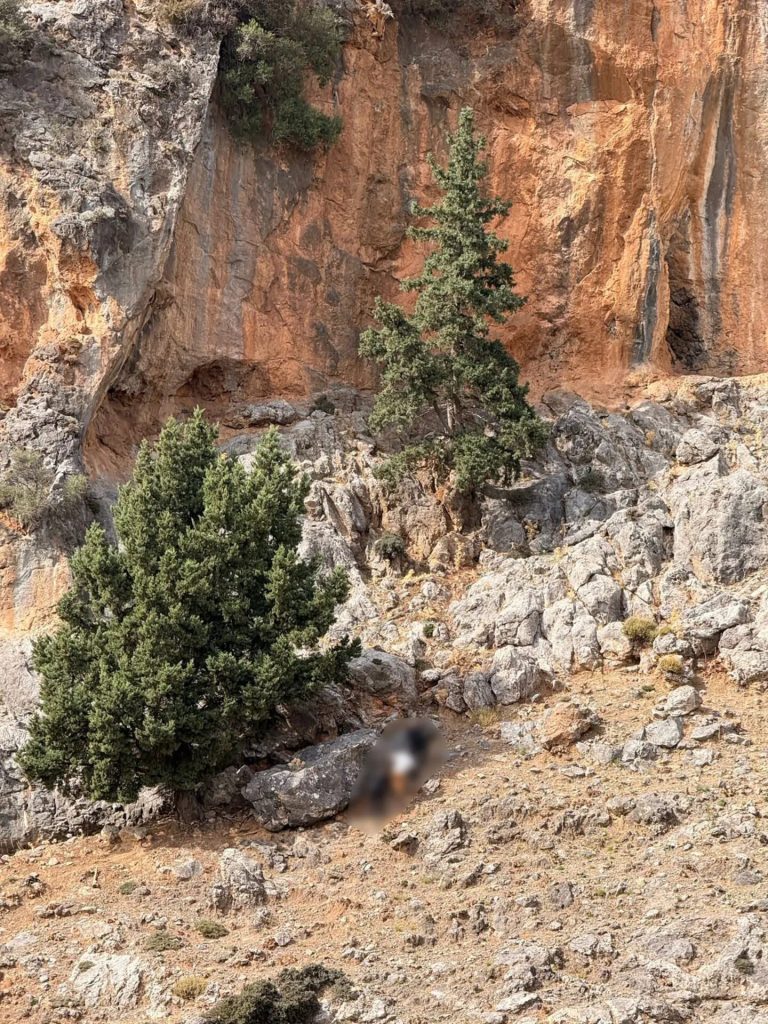 Θρίλερ στα Βορίζια: Νέα στοιχεία φωτίζουν το μακελειό