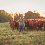 Καμπανάκι ΑΜΘ για τη διάδοση αφθώδους πυρετού σε γειτονικές χώρες