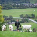 Νέα επεξήγηση από την Γενική Διεύθυνση Γεωργίας και Αγροτικής Ανάπτυξης για την εισοδηματική στήριξη αγροτών από την ΚΑΠ 2028–2034
