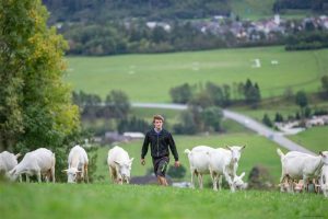 Νέα επεξήγηση από την Γενική Διεύθυνση Γεωργίας και Αγροτικής Ανάπτυξης για την εισοδηματική στήριξη αγροτών από την ΚΑΠ 2028–2034