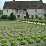 Καθρέπτης για άλλες χώρες ΕΕ τα σημάδια ανάκαμψης βιοκαλλιέργειας στην Γαλλία