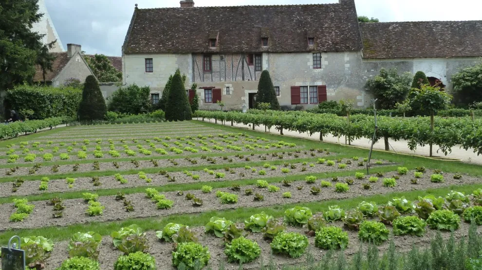 Καθρέπτης για άλλες χώρες ΕΕ τα σημάδια ανάκαμψης βιοκαλλιέργειας στην Γαλλία