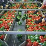 Κραυγή αγωνίας για το νέο κανονιστικό μοντέλο της ΕΕ σε κοινή δήλωση 31 φορέων αγροδιατροφής