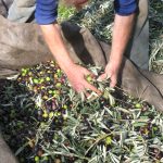 Έκκληση για άμεση επίλυση του ζητήματος των επιχορηγήσεων 2024 των ΟΕΦ