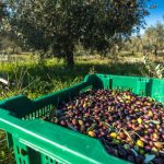 Νοέμβρης – Τα φύλλα πέφτουν και τα τελάρα σηκώνονται