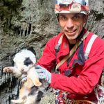 Φρίκη στο Πήλιο: Πέταξαν κουτάβια σε γκρεμό – Ζωντανό μόνο ένα