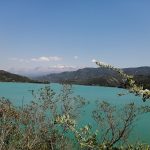 epicheiriseis-diasosis-pente-ktinotrofon-se-tzoumerka-kai-zagori-207300