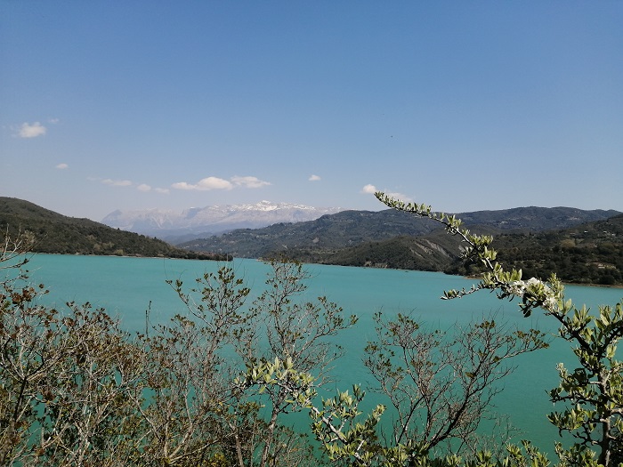 epicheiriseis-diasosis-pente-ktinotrofon-se-tzoumerka-kai-zagori-207300