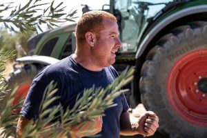 Ελαίας Καρπός