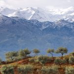 Παρατηρητήριο Τιμών Ελαιολάδου (28/11/2025)