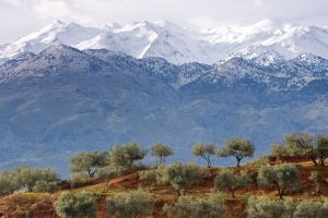 Παρατηρητήριο Τιμών Ελαιολάδου (28/11/2025)