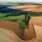 Διάκριση Best-in-Class για το πρόγραμμα REVERTE της Syngenta