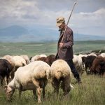 Τέλος στη παραχώρηση βοσκοτόπων πέραν από όμορους Νομούς