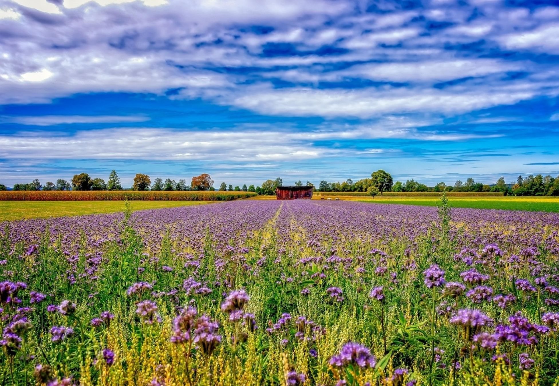 Ολοκληρωμένες λύσεις για αποτελεσματική διαχείριση αζώτου στη γεωργία αναζητά το NitroScope