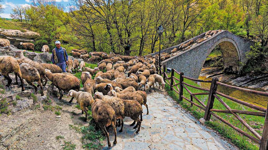 Ευλογιά: Μειώνονται τα κρούσματα, παραμένουν η ανησυχία και τα ερωτήματα για τους παραγωγούς