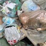 Κτηνωδία στην Μεγαλόπολη: Πέταξαν στα σκουπίδια σκυλάκι κλεισμένο σε τσουβάλι