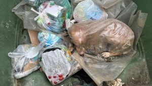 Κτηνωδία στην Μεγαλόπολη: Πέταξαν στα σκουπίδια σκυλάκι κλεισμένο σε τσουβάλι