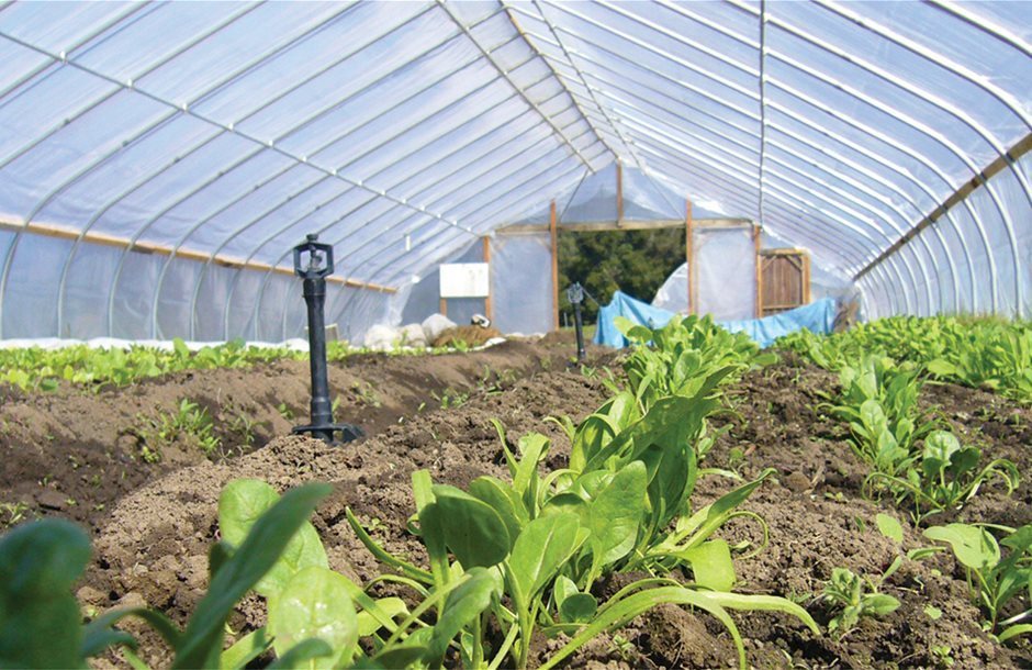 Η ενεργειακή αναβάθμιση θερμοκηπίων στο επίκεντρο διαδικτυακού σεμιναρίου του Δημοκρίτειου Πανεπιστημίου Θράκης