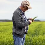 Τρίτη 25 Νοεμβρίου πληρώνονται οι συντάξεις τ. ΟΓΑ μήνα Δεκεμβρίου