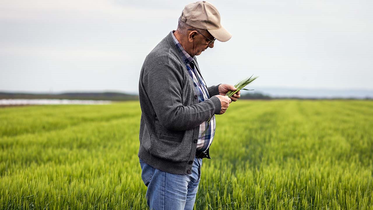 Τρίτη 25 Νοεμβρίου πληρώνονται οι συντάξεις τ. ΟΓΑ μήνα Δεκεμβρίου