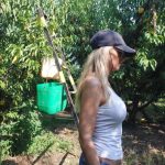 Ζωή Βρατσκίδου: Η αεροσυνοδός που τα «βρόντηξε» και έγινε αγρότισσα