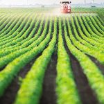 ti-tha-ginei-me-ta-agrotemachia-choris-kaek-205057