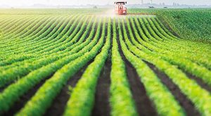 ti-tha-ginei-me-ta-agrotemachia-choris-kaek-205057