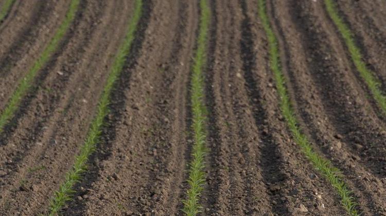 Η AGRI εγκρίνει συμφωνία για την απλοποίηση των γεωργικών κανόνων της ΕΕ