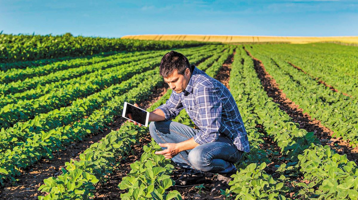 ΥΠΑΑΤ: Τι θα γίνει με τα «πανωγραψίματα» στις δηλώσεις των αγροτών