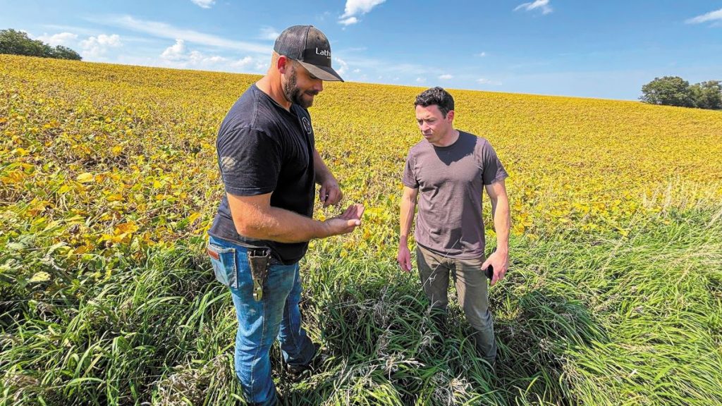 Η συμφωνία ΗΠΑ-Κίνας για τη σόγια «ανακουφίζει» τους Αμερικανούς αγρότες, αλλά εγείρει ερωτήματα