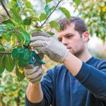 EU CAP Network: Στρατηγικές ανανέωσης των γενεών στη γεωργία από τα κράτη-μέλη