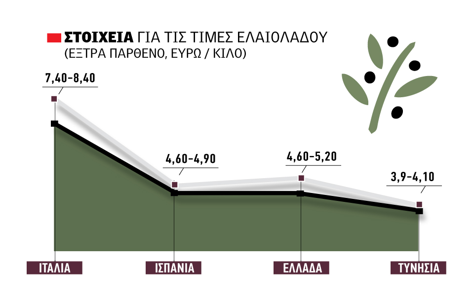 Ελαίας Καρπός