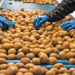 epitheorites-apo-to-vietnam-episkefthikan-ellinikes-ekmetallefseis-aktinidion-317303