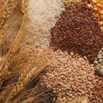 Μείωση 20% στις εξαγωγές δημητριακών της ΕΕ το πρώτο εξάμηνο του 2025