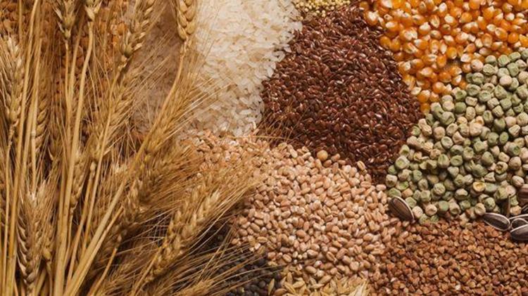 Μείωση 20% στις εξαγωγές δημητριακών της ΕΕ το πρώτο εξάμηνο του 2025