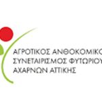 Αρχαιρεσίες ΣΦΑ: Ο Αλέξανδρος Μεταξάς επανεξελέγη πρόεδρος