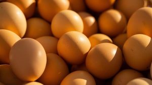 "Απειλή" για τα ευρωπαϊκά αυγά η συμφωνία ΕΕ - Mercosur