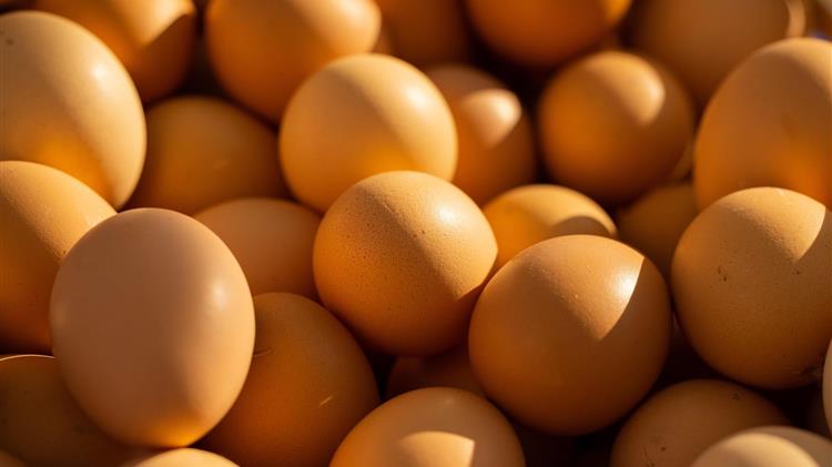 "Απειλή" για τα ευρωπαϊκά αυγά η συμφωνία ΕΕ - Mercosur